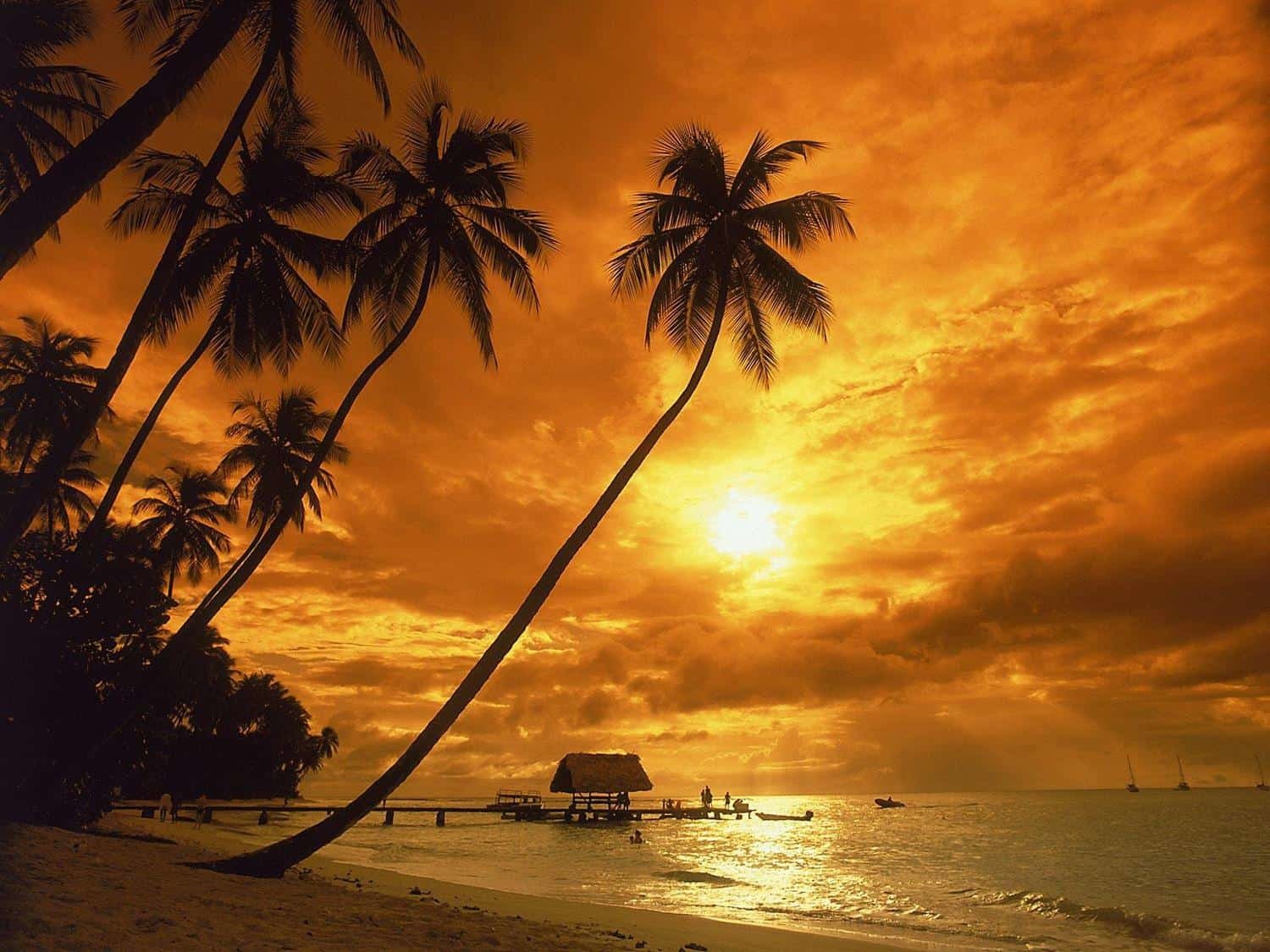 Карибские острова - отдых в 2019 году