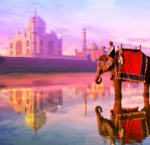 Отдых в Индии в 2020 году - индийские курорты