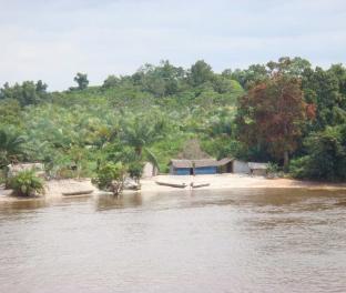 Настоящие джунгли, Сьерра-Леоне