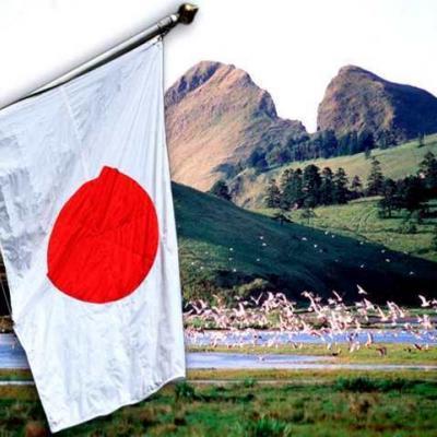 Удивительные законы Японии: о чем стоит знать туристу